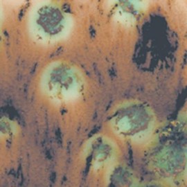 Cappuccino Mint - 4oz Mayco Crystal Glaze